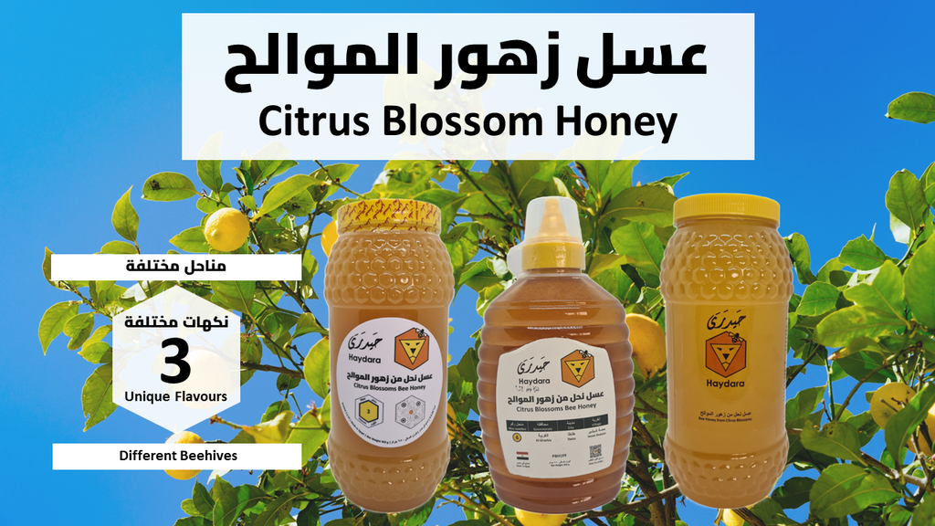 Citrus Honey Hive 1